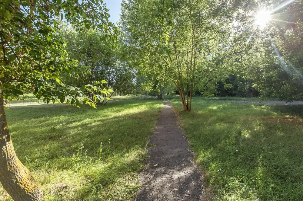 в Серпухове Серпухов - изображение 16