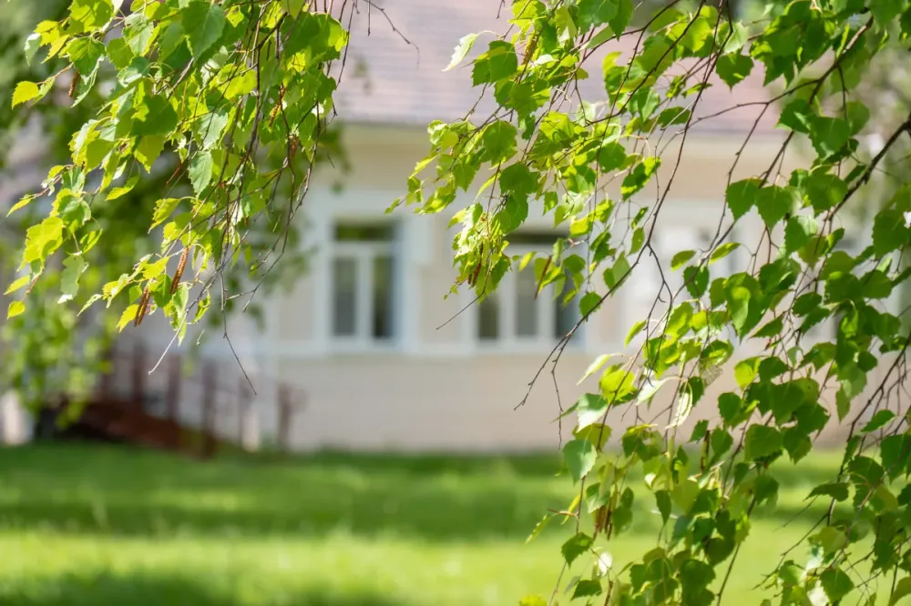 в Нижнем Новгороде Нижний Новгород - изображение 12