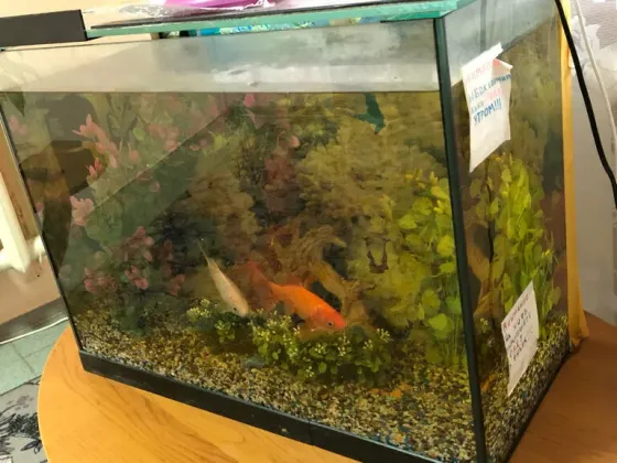 в Вологде Вологда