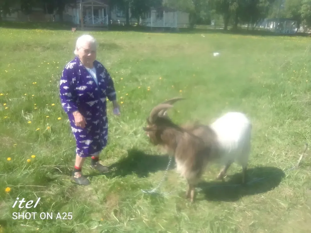 в Костроме Кострома - изображение 8