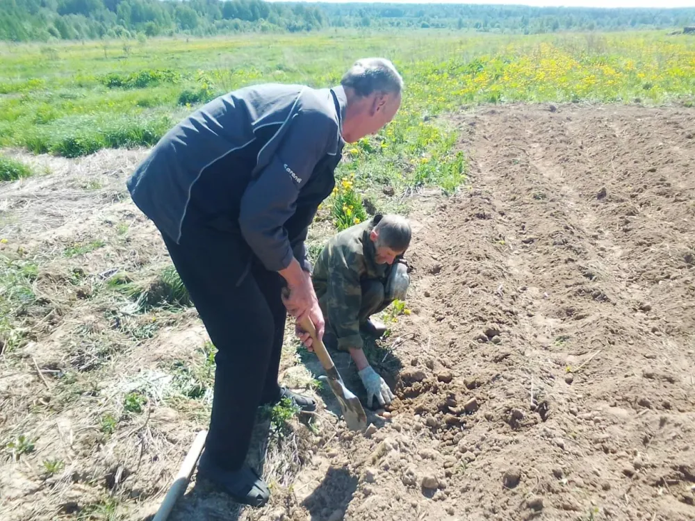 в Костроме Кострома - изображение 10