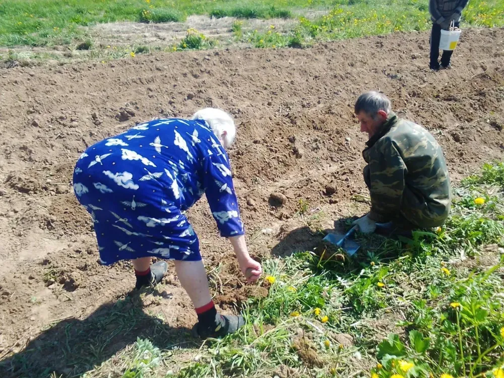 в Костроме Кострома - изображение 13