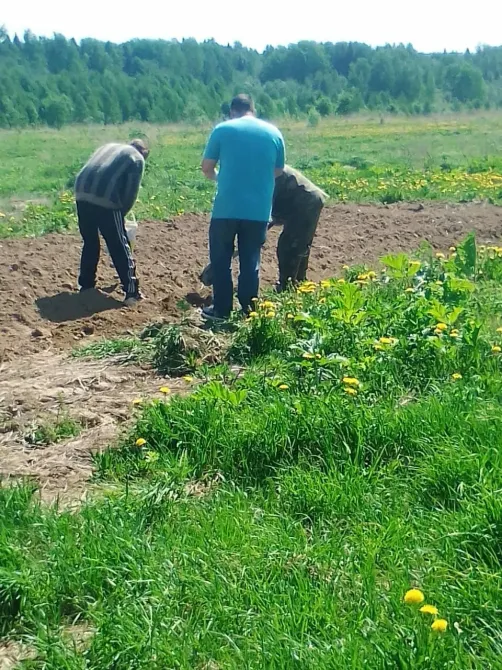 в Костроме Кострома - изображение 17