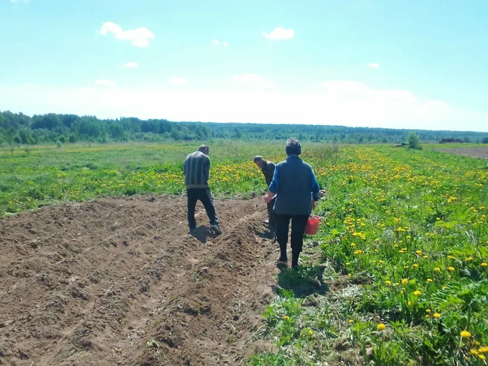 в Костроме Кострома - изображение 12