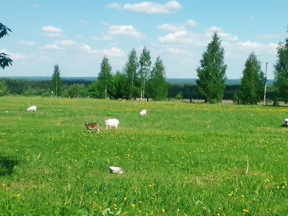 в Костроме Кострома - изображение 18