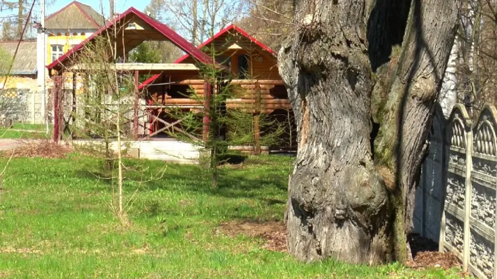 в Тутаеве Тутаев - изображение 9