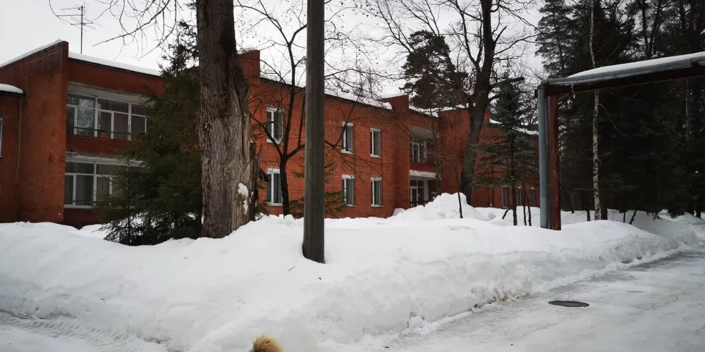 в Нижнем Новгороде Нижний Новгород - изображение 10