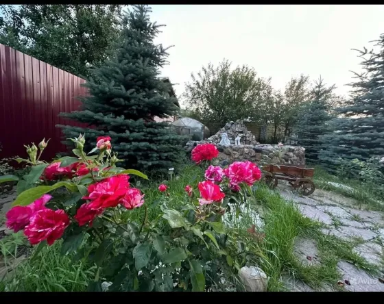 в Нижнем Новгороде Нижний Новгород