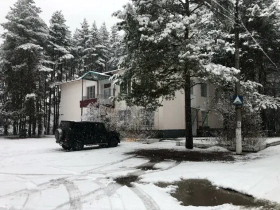 во Владимире Владимир