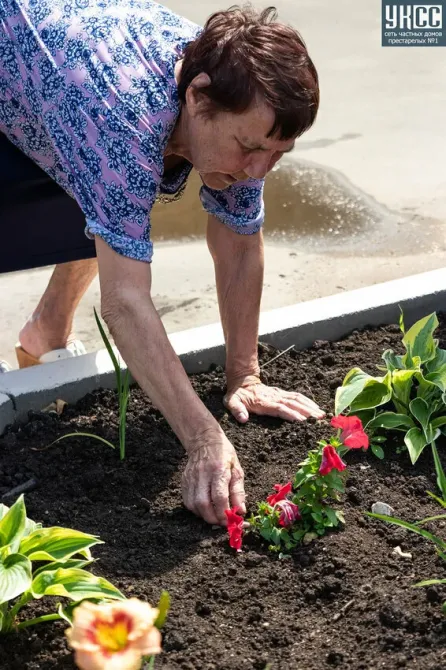 в Щёлково Щёлково - изображение 11