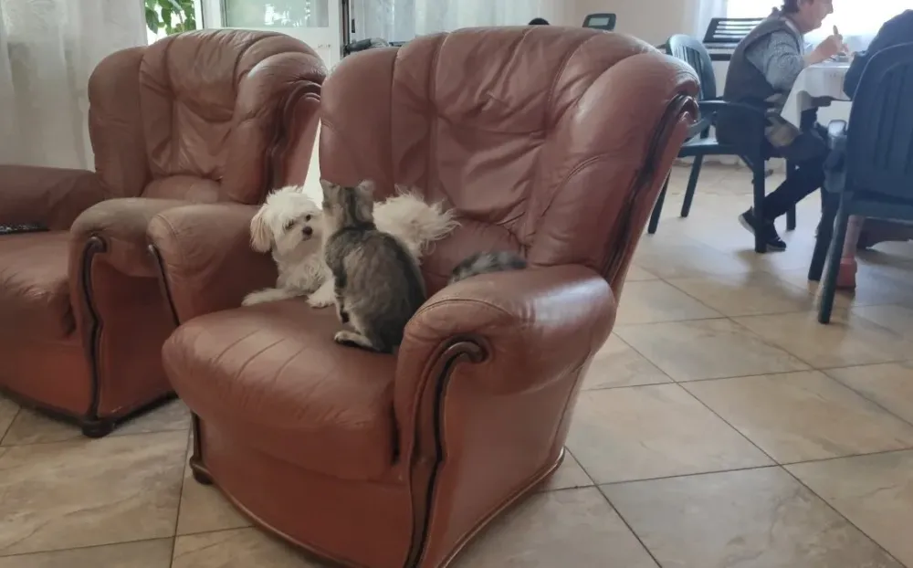 в Троицке Троицк - изображение 7