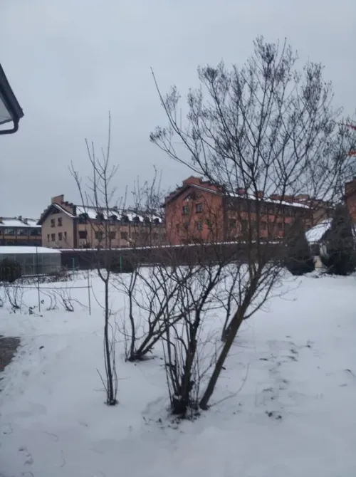 в Троицке Троицк - изображение 17