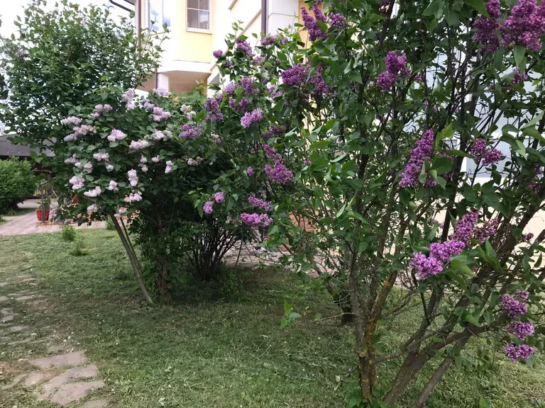 в Троицке Троицк - изображение 11