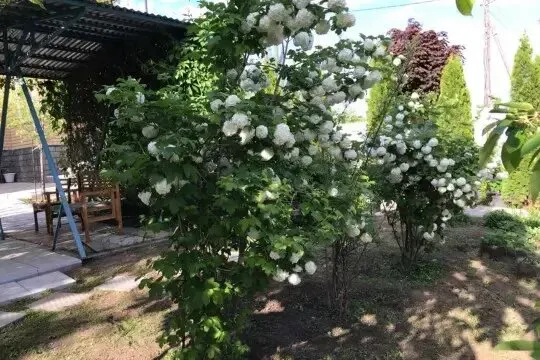 в Нижнем Новгороде Нижний Новгород - изображение 15