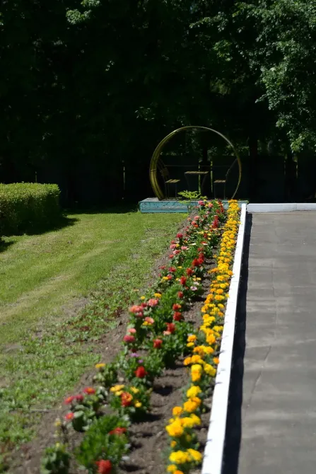 в Нерехте Нерехта - изображение 5