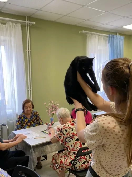 в Иваново Иваново - изображение 12