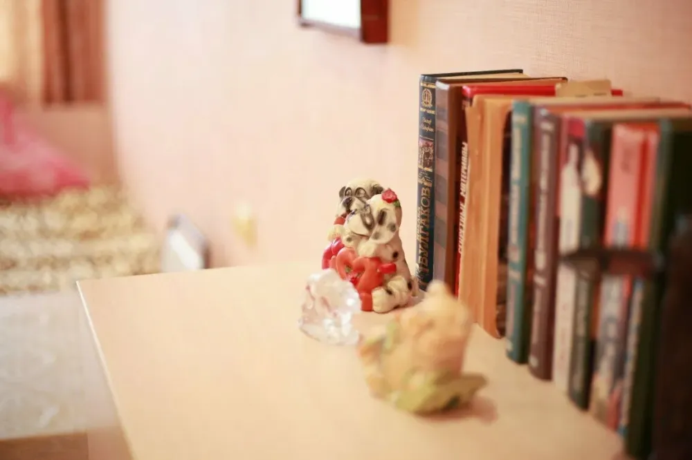 во Владимире Владимир - изображение 8