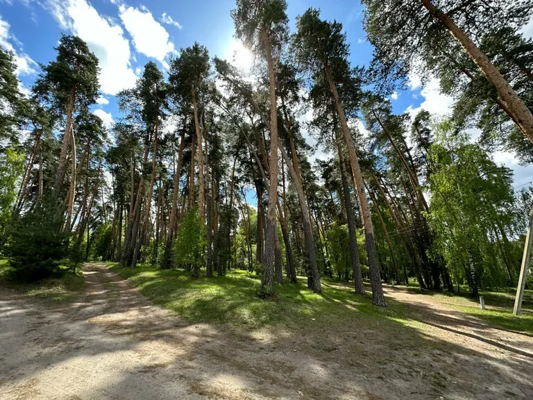 в Рязани Рязань - изображение 18