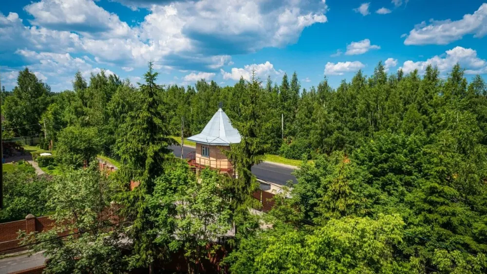 в Купавне Купавна - изображение 14