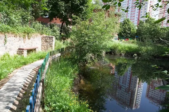 в Химках Химки