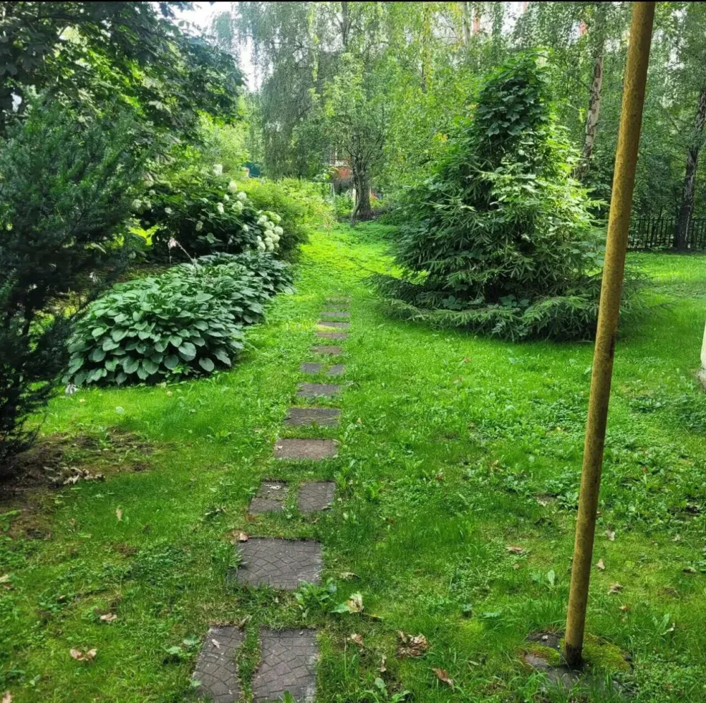 в Химках Химки - изображение 18