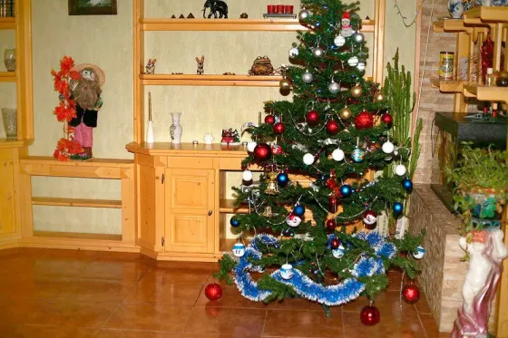 в Ивантеевке Ивантеевка