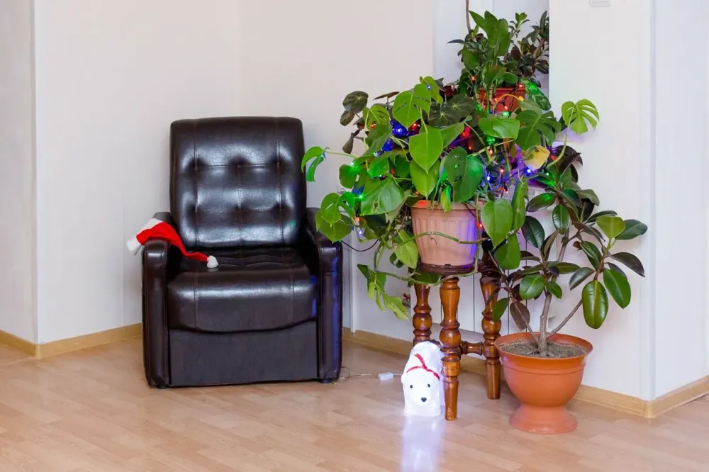 в Ивантеевке Ивантеевка - изображение 9