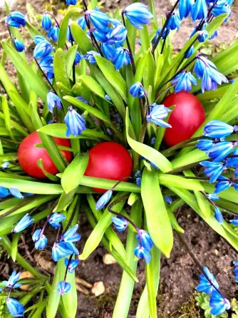 в Мамоново Мамоново