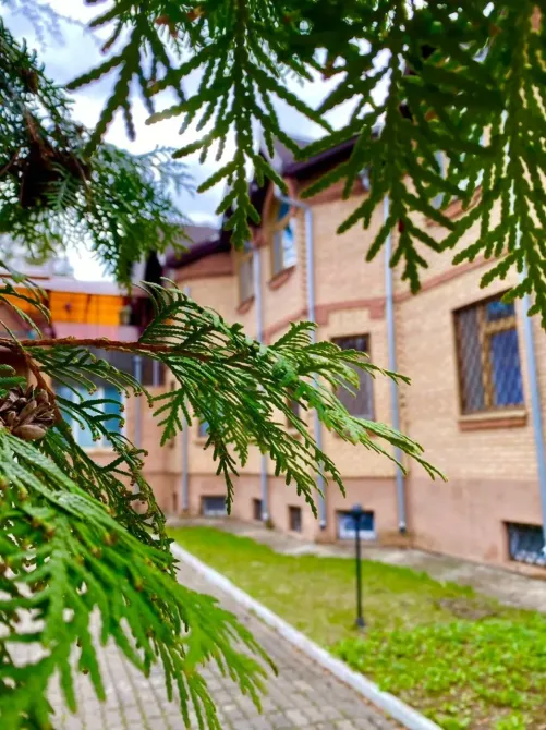 в Ильинском Ильинский - изображение 11