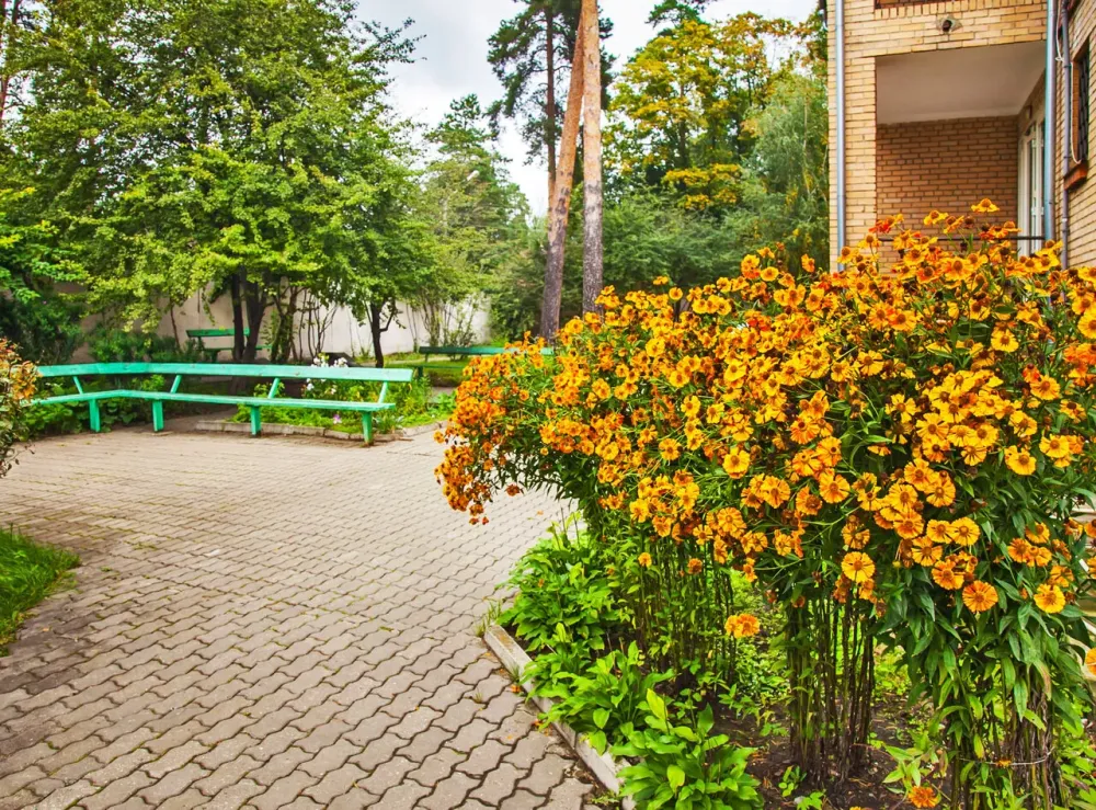 в Ильинском Ильинский - изображение 2