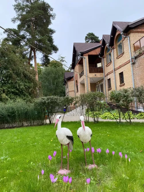 в Ильинском Ильинский - изображение 17