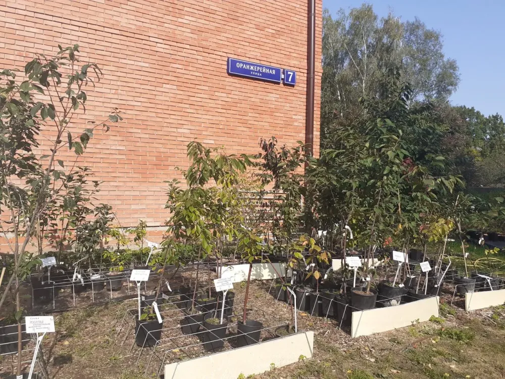 в Москве и Московской обл. Москва и Московская обл. - изображение 7