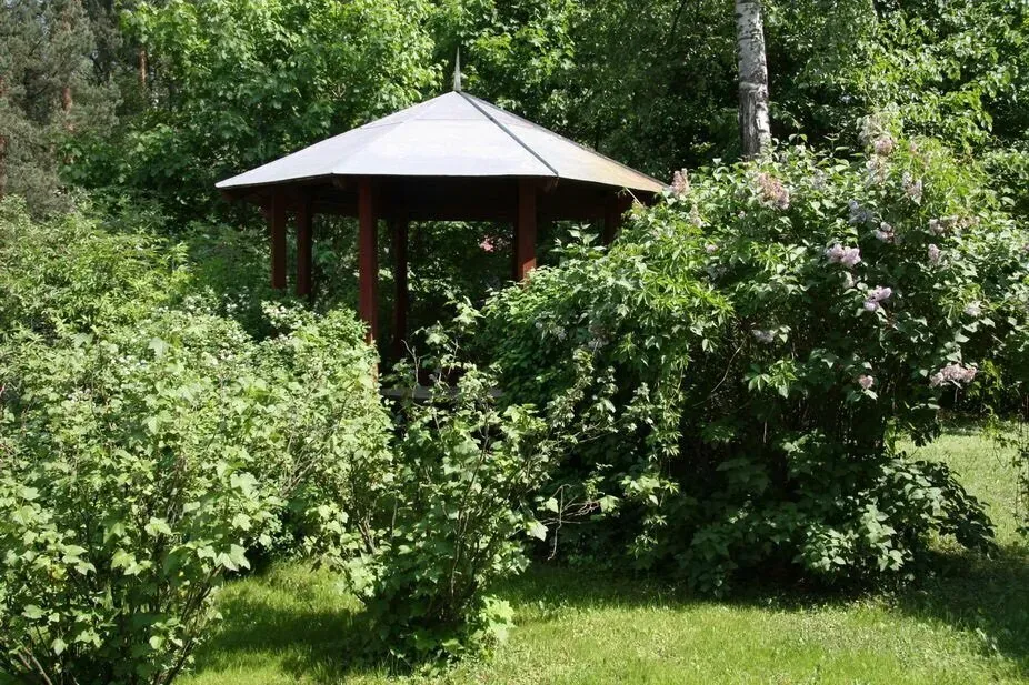 в Ильинском Ильинский - изображение 11