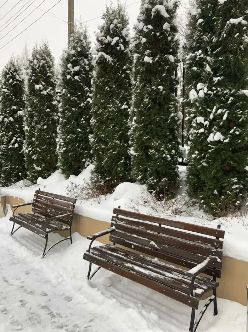 в Москве и Московской обл. Москва и Московская обл. - изображение 15