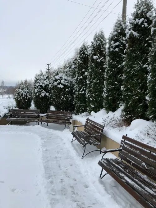 в Москве и Московской обл. Москва и Московская обл. - изображение 16