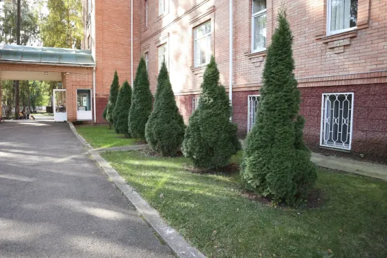 в Малаховке Малаховка