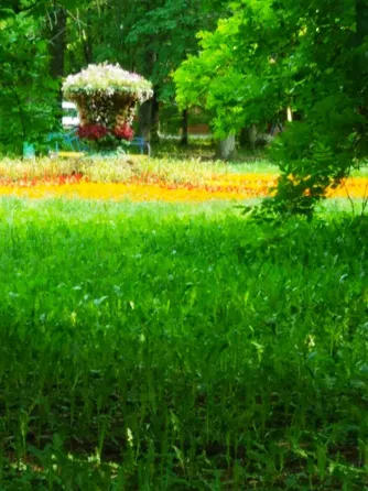 в Мытищах Мытищи