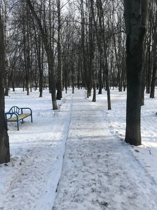 в Мытищах Мытищи - изображение 2