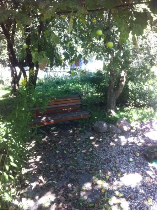 в Монино Монино - изображение 20