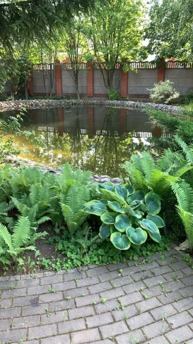 в Малаховке Малаховка - изображение 17