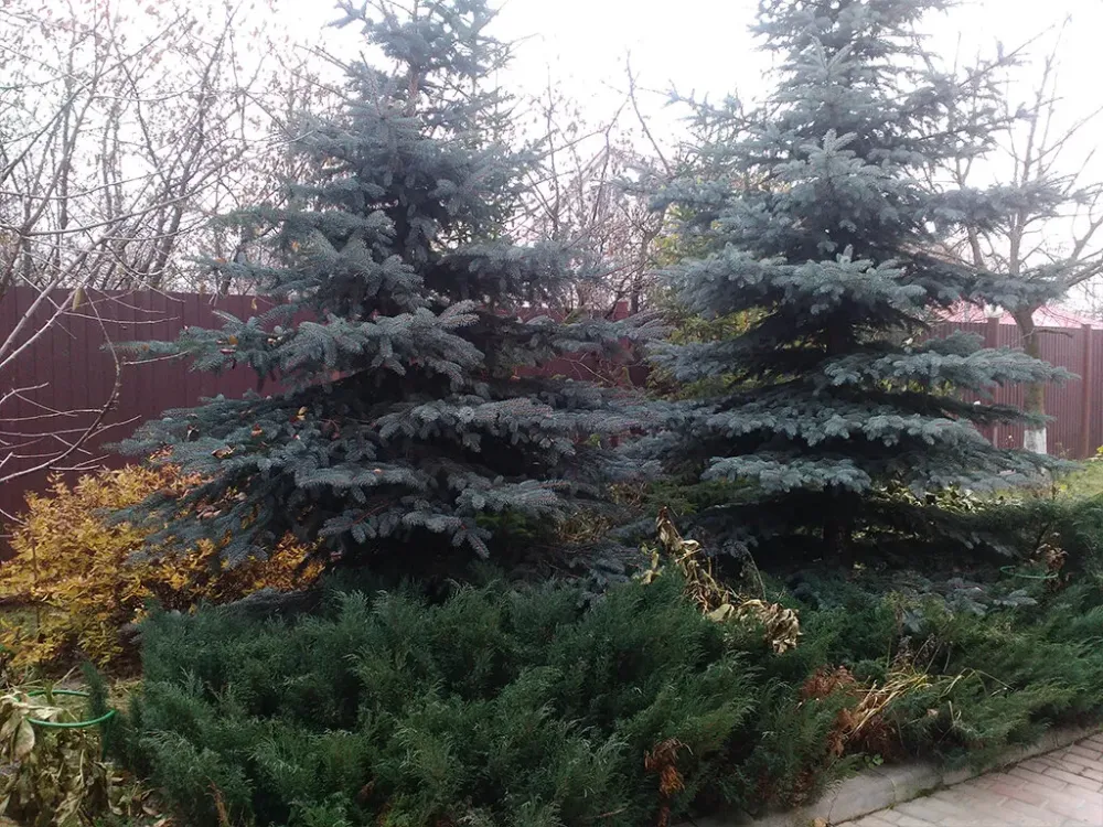 в Видном Видное - изображение 5