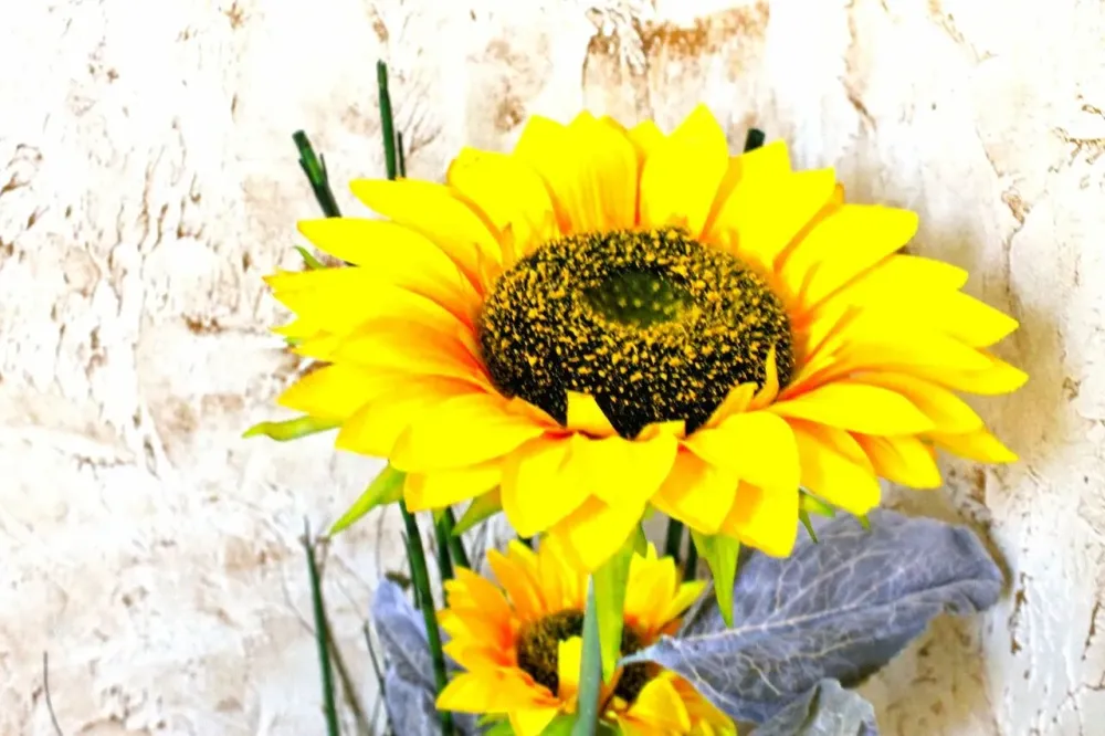 в Видном Видное - изображение 7