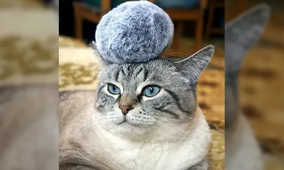 в Москве и Московской обл. Москва и Московская обл.