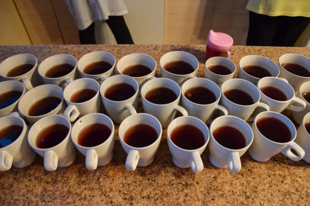 в Новой Ладоге Новая Ладога - изображение 13