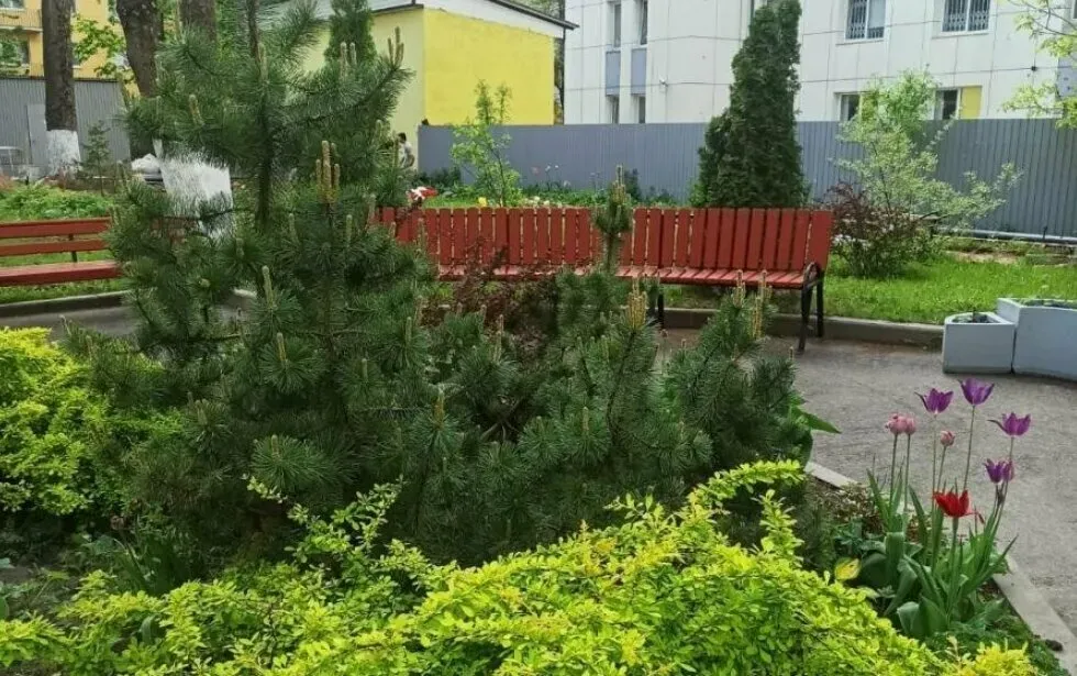 в Гатчине Гатчина - изображение 16