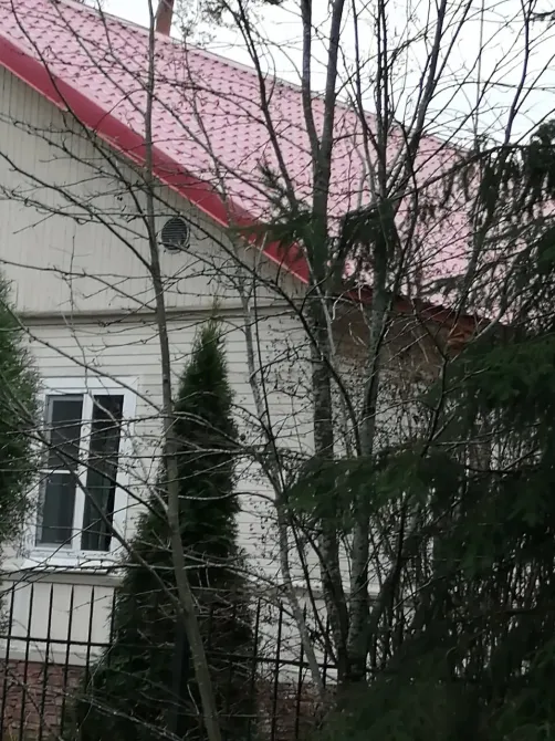 в Сиверском Сиверский - изображение 6