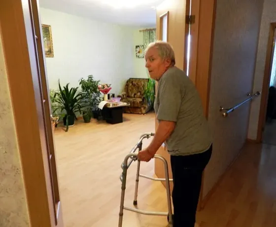 в Шушарах Шушары