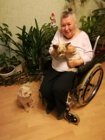 в Шушарах Шушары