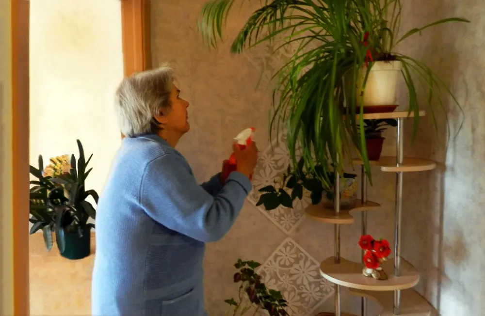 в Шушарах Шушары - изображение 4