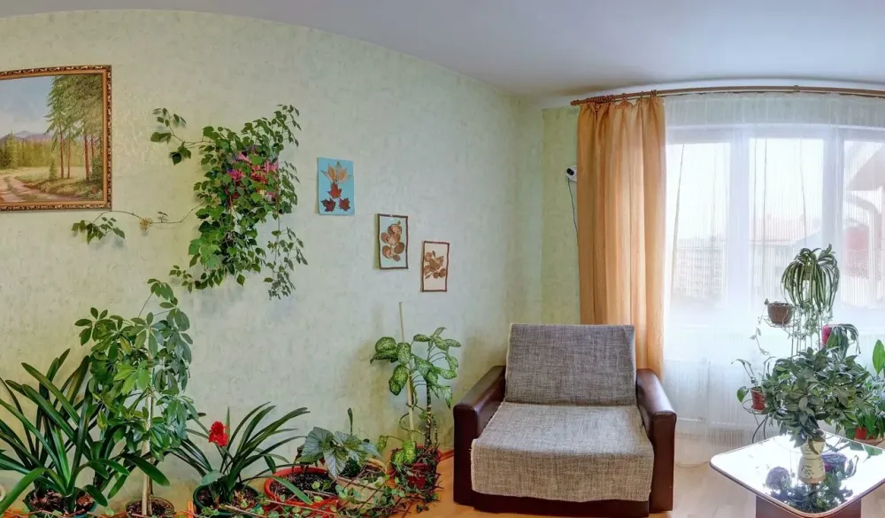 в Шушарах Шушары - изображение 9